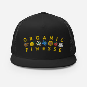 Finesse Finesse Snapback