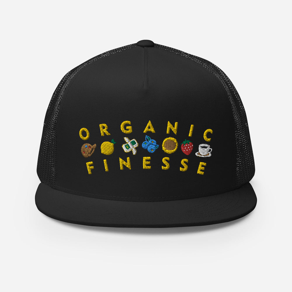 Finesse Finesse Snapback